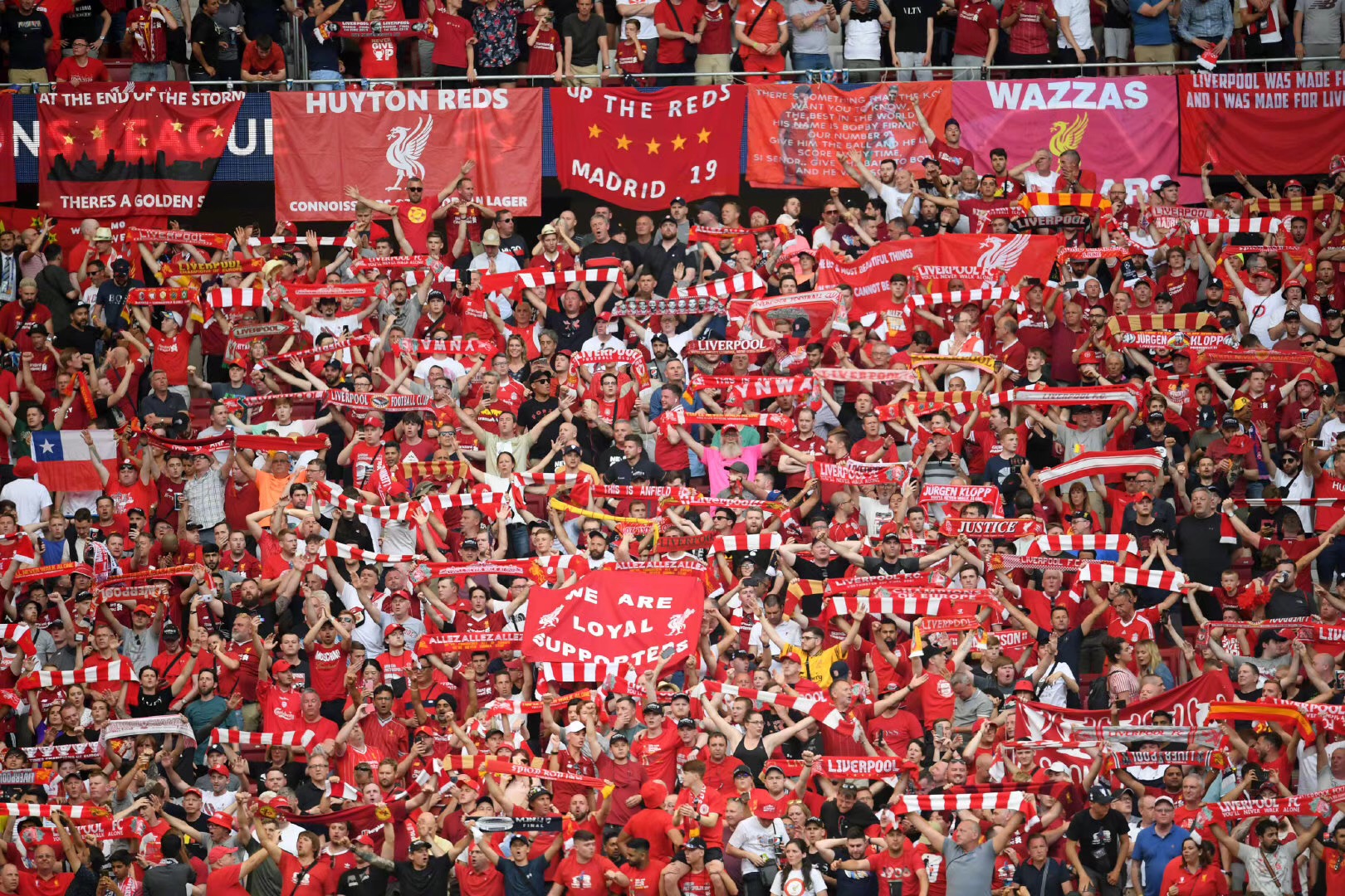 认知决策的 认知决策的