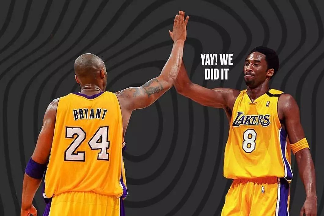 乒坛的技术 乒坛的技术